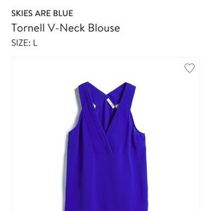 Skies are BlueTornell V-Neck Blouse